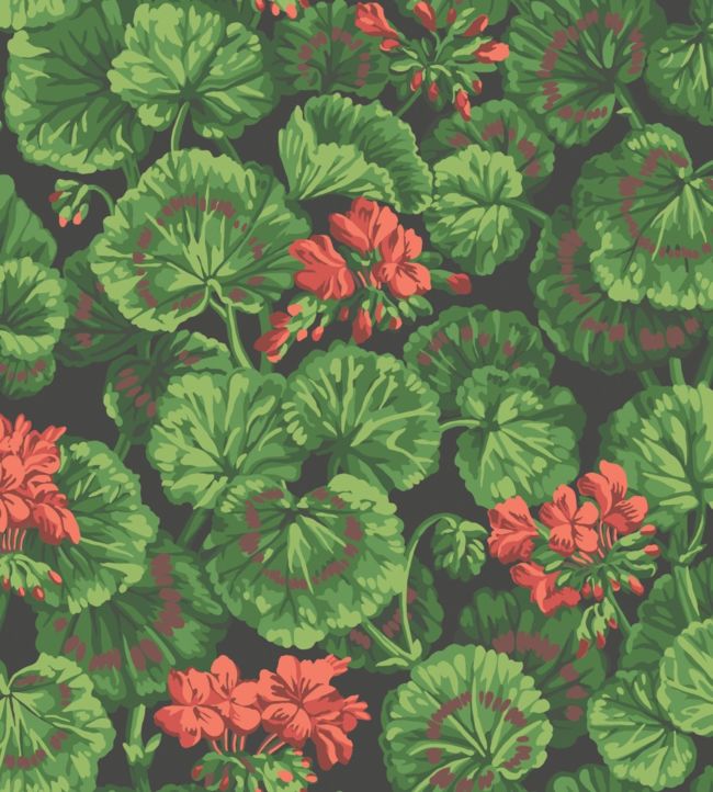 Geranium Wallpaper - Rouge & Leaf Greens on Black - 117/11033 - Cole & Son