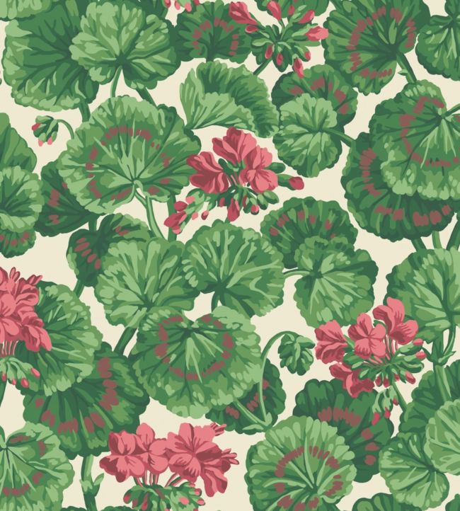 Geranium Wallpaper - Rose & Forest Greens on Parchment - 117/11034 - Cole & Son