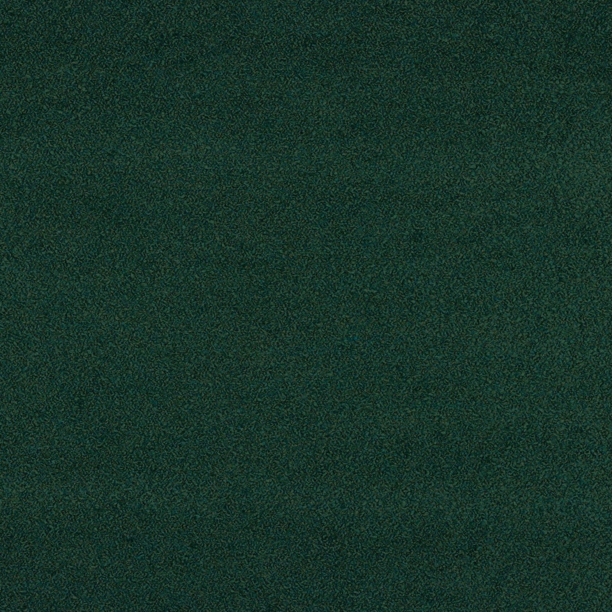 Gloria Fabric - Vert Pin - Manuel Canovas - M4113-09 - Premier Wallcovering