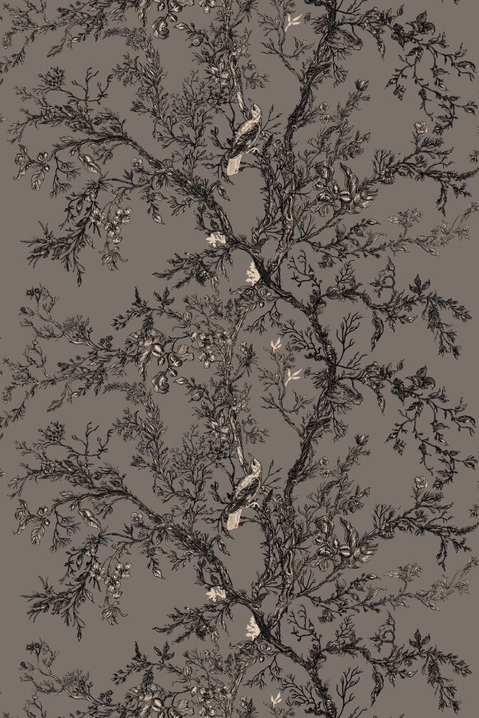 Golden Oriole Superwide Wallpaper - Dark Grey - Timorous Beasties - SWP/GOR/02 - Premier Wallcovering