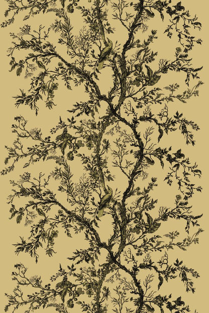 Golden Oriole Velvet Fabric - Black & Gold on Gold - Timorous Beasties - GOR/40898/01 - Premier Wallcovering