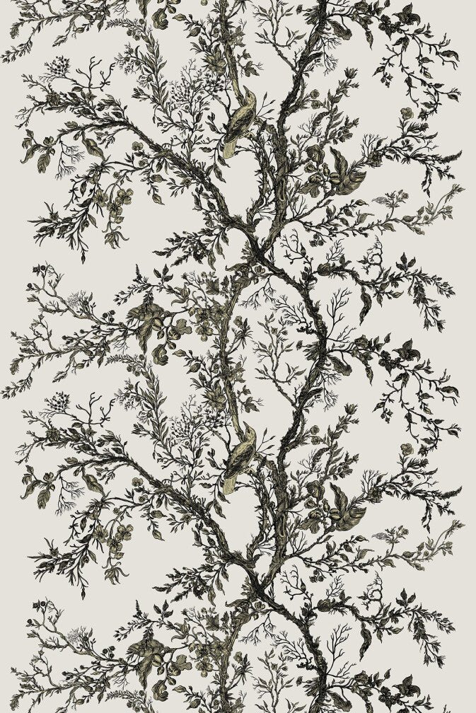 Golden Oriole Velvet Fabric - Black & Gold on Beige - Timorous Beasties - GOR/40906/01 - Premier Wallcovering