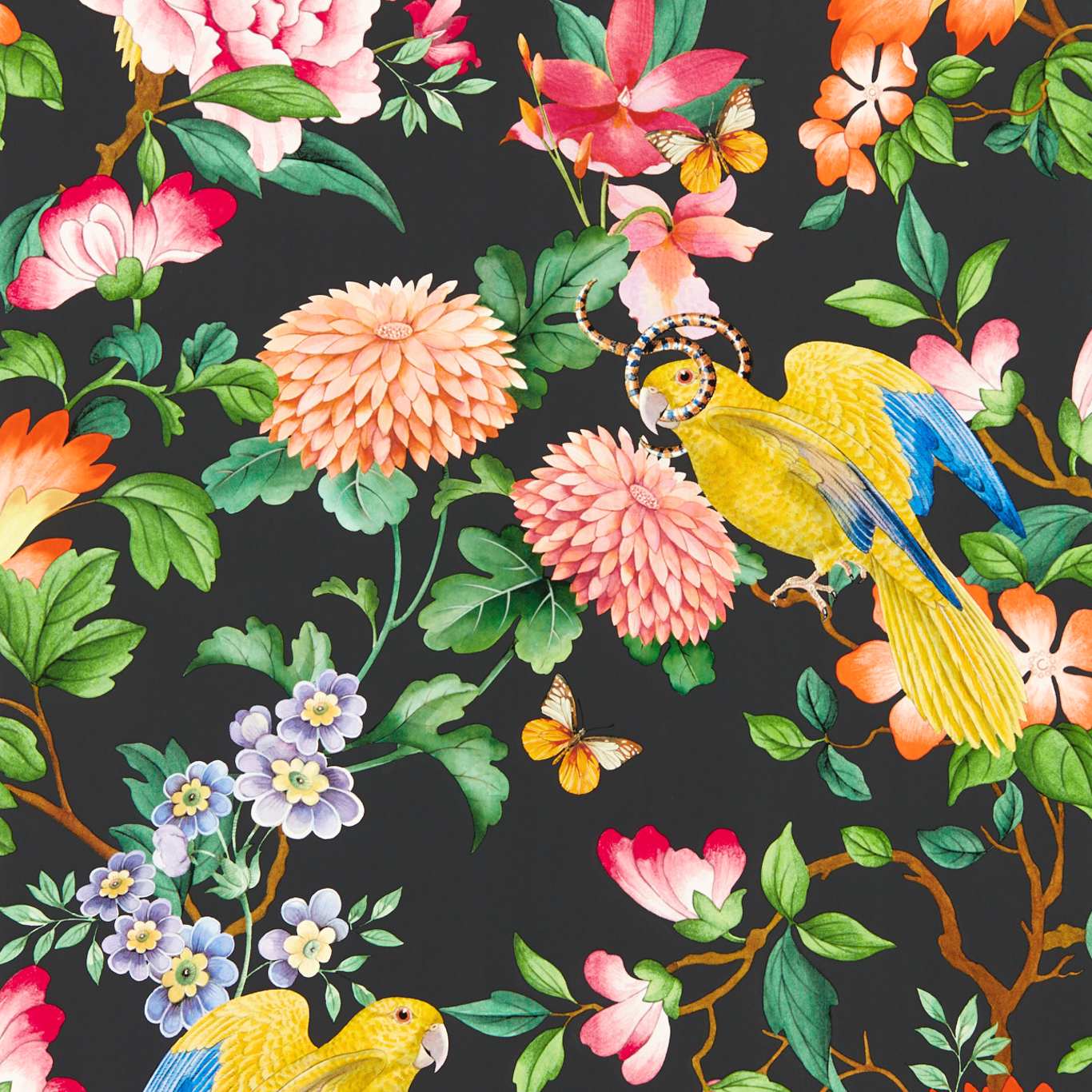 Golden Parrot Wallpaper - Noir - Clarke & Clarke - W0130/04 - Premier Wallcovering