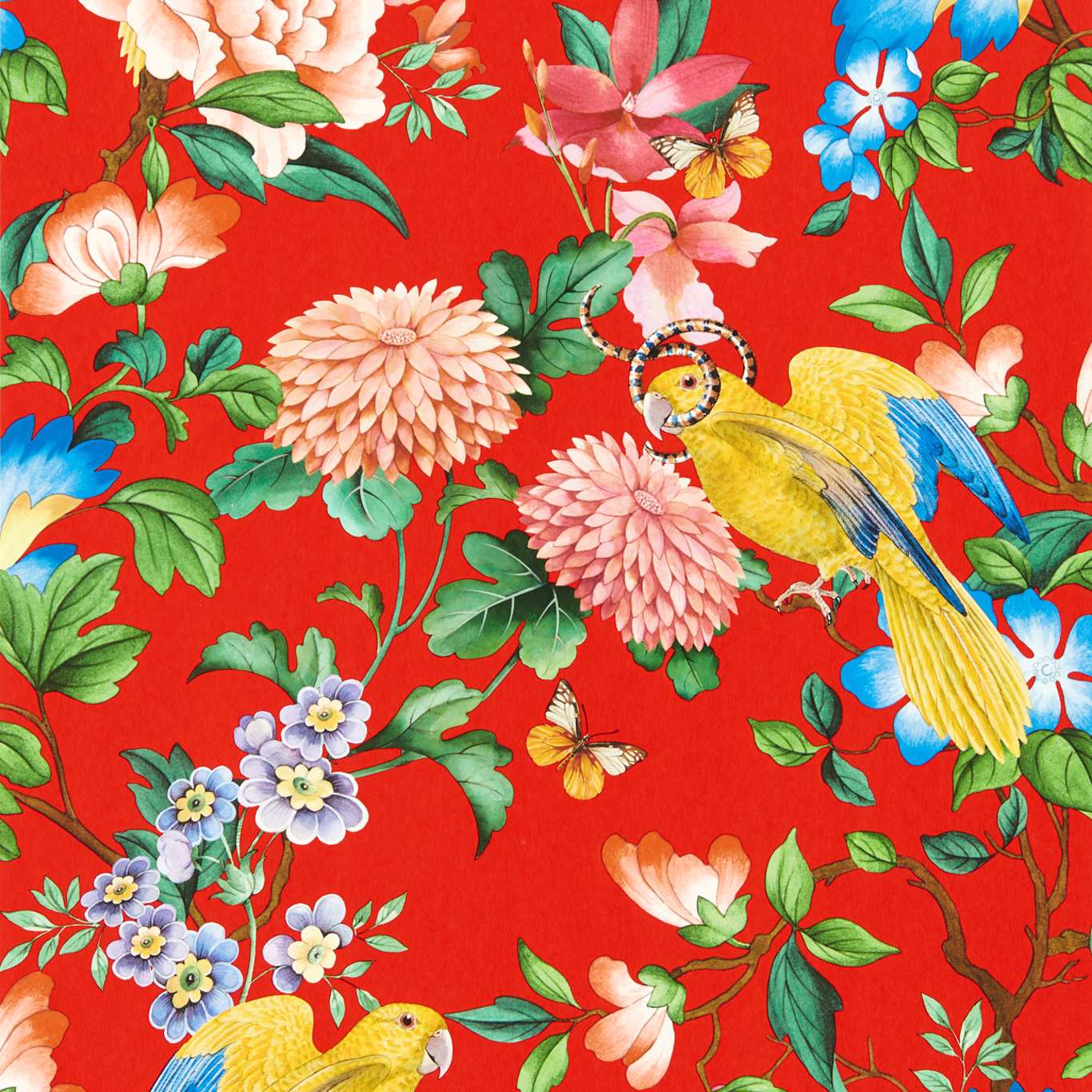 Golden Parrot Wallpaper - Coral - Clarke & Clarke - W0130/01 - Premier Wallcovering