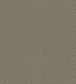 Goldstone Wallpaper - Metallic Silver on Charcoal - 107/9043 - Cole & Son - Premier Wallcovering
