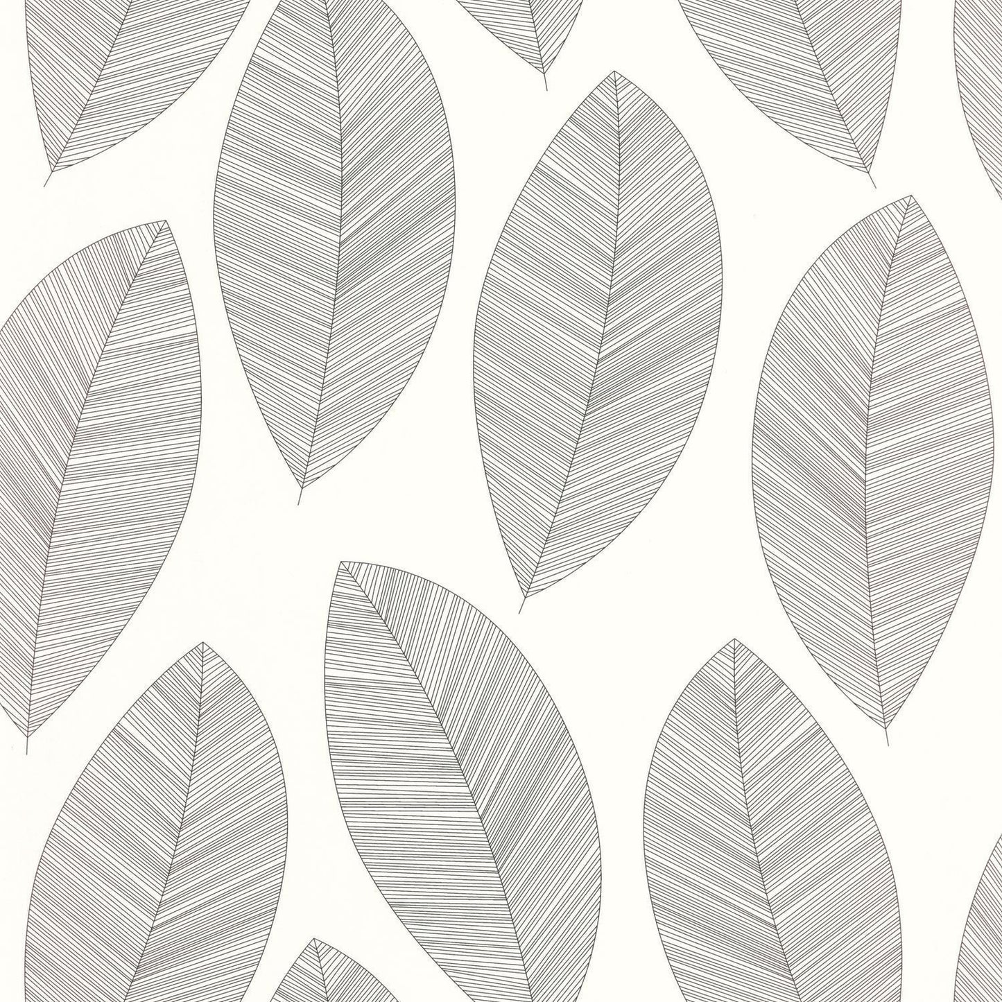 Graphic Leaves Wallpaper - Blanc Noir - Caselio - 104310927