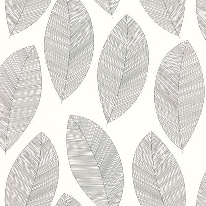 Graphic Leaves Wallpaper - Blanc Noir - Caselio - 104310927