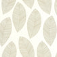 Graphic Leaves Wallpaper - Blanc - Caselio - 104310213