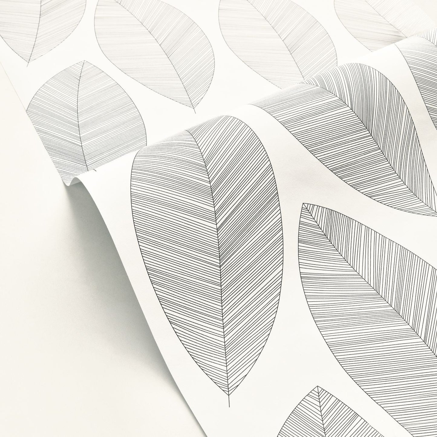 Graphic Leaves Wallpaper - Blanc Noir - Caselio - 104310927