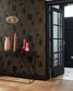 Graphique Gallery Wallpaper - Noir And Taupe - Casadeco - 86129413 - Premier Wallcovering