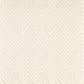Grassetto Wallpaper - Ivory - Clarke & Clarke - W0181/02 - Premier Wallcovering