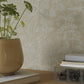 Grazia Wallpaper - Beige - Boråstapeter - 1979 - Premier Wallcovering