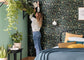 Green Life Sweet Wallpaper - Fond Noir - Caselio - 101717122
