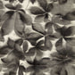 Grounded Wallpaper - Black Earth/Parchment - HC4W113005 - Harlequin - Premier Wallcovering