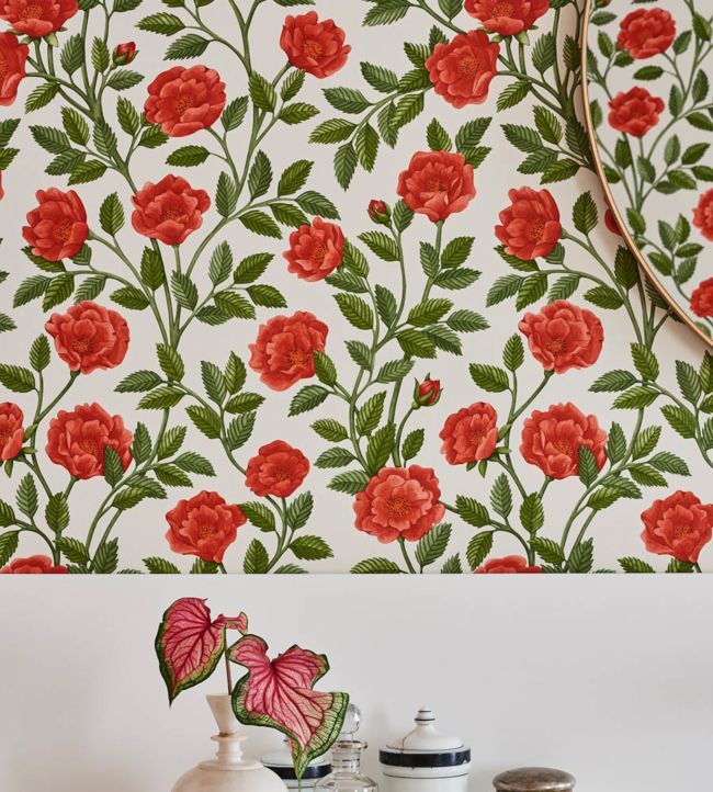 Hampton Roses Wallpaper - Rouge & Spring Green on Parchment - 118/7013 - Cole & Son - Premier Wallcovering