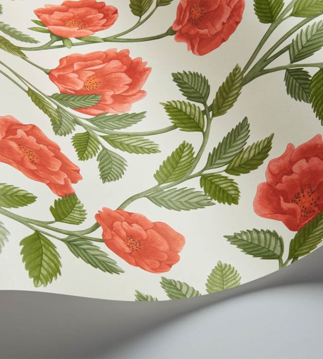 Hampton Roses Wallpaper - Rouge & Spring Green on Parchment - 118/7013 - Cole & Son - Premier Wallcovering