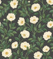 Hampton Roses Wallpaper - Cream & Forest Green on Charcoal - 118/7016 - Cole & Son - Premier Wallcovering