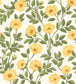 Hampton Roses Wallpaper - Marigold & Olive Green on White - 118/7015 - Cole & Son - Premier Wallcovering