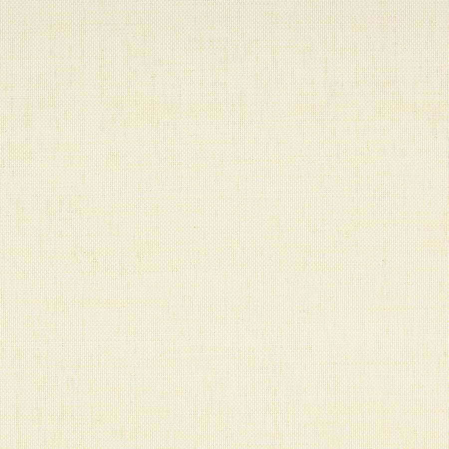 Hampton Wallpaper - White - Colefax & Fowler - 20409 - 01 - Premier Wallcovering