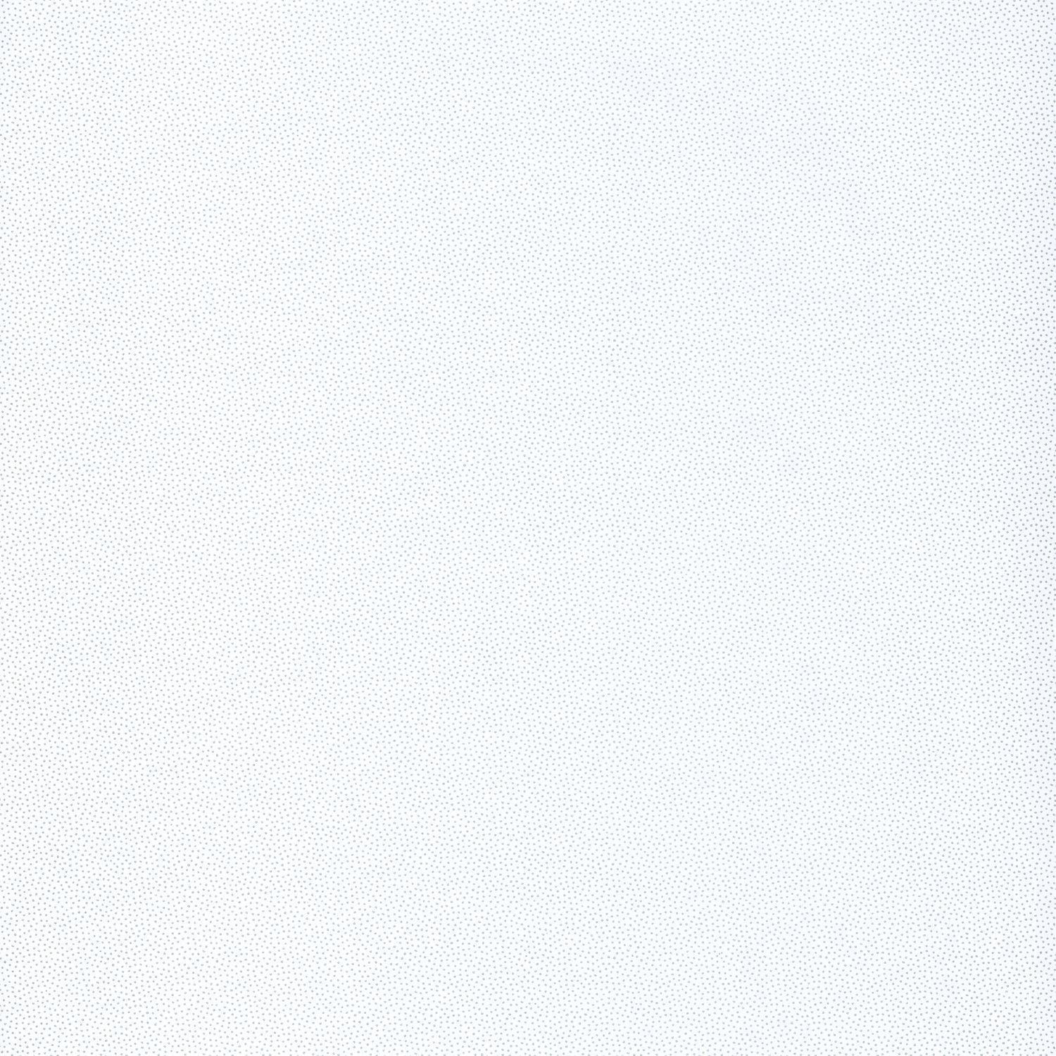 Hanami Goma Wallpaper - Blanc/ Argent - Caselio - 100400101