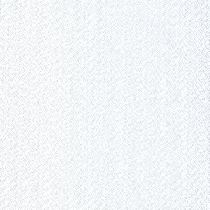 Hanami Goma Wallpaper - Blanc/ Argent - Caselio - 100400101