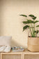 Harmony Wallpaper - Beige - Caselio - 106641015