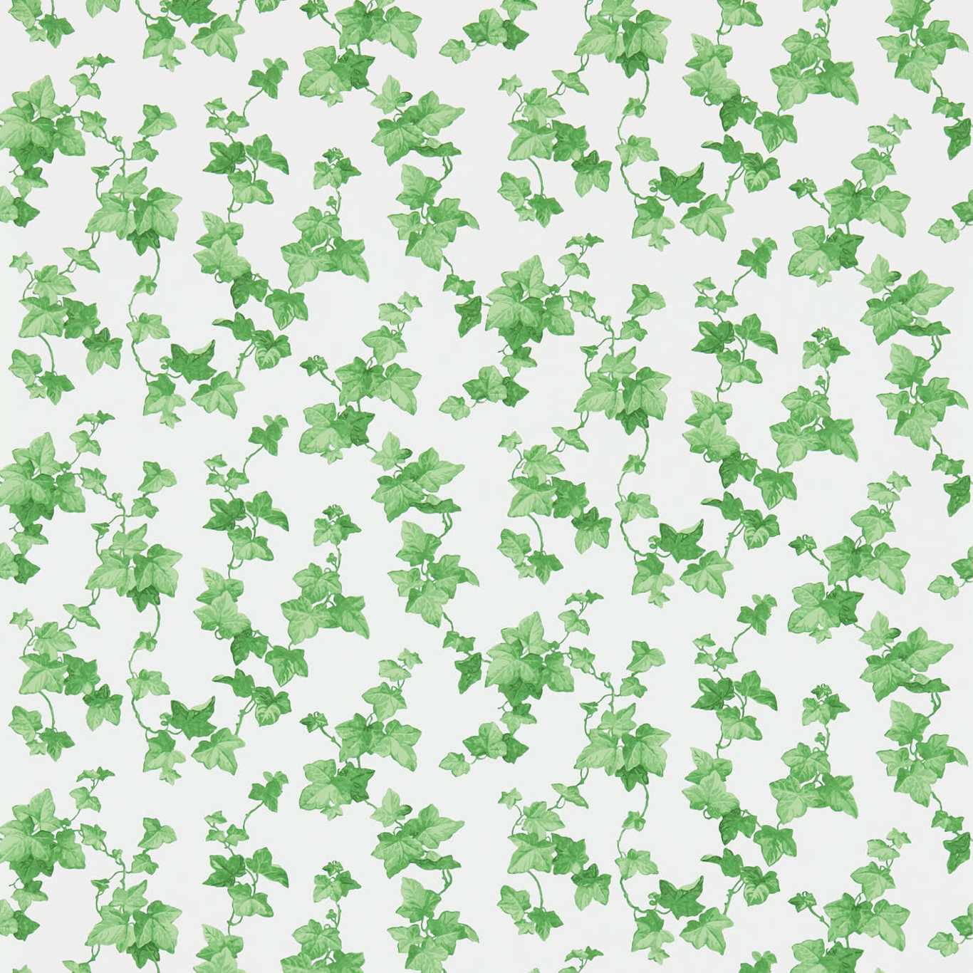 Hedera Wallpaper - Green - DVIN214593 - Sanderson