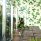 Hedera Wallpaper - Green - DVIN214593 - Sanderson