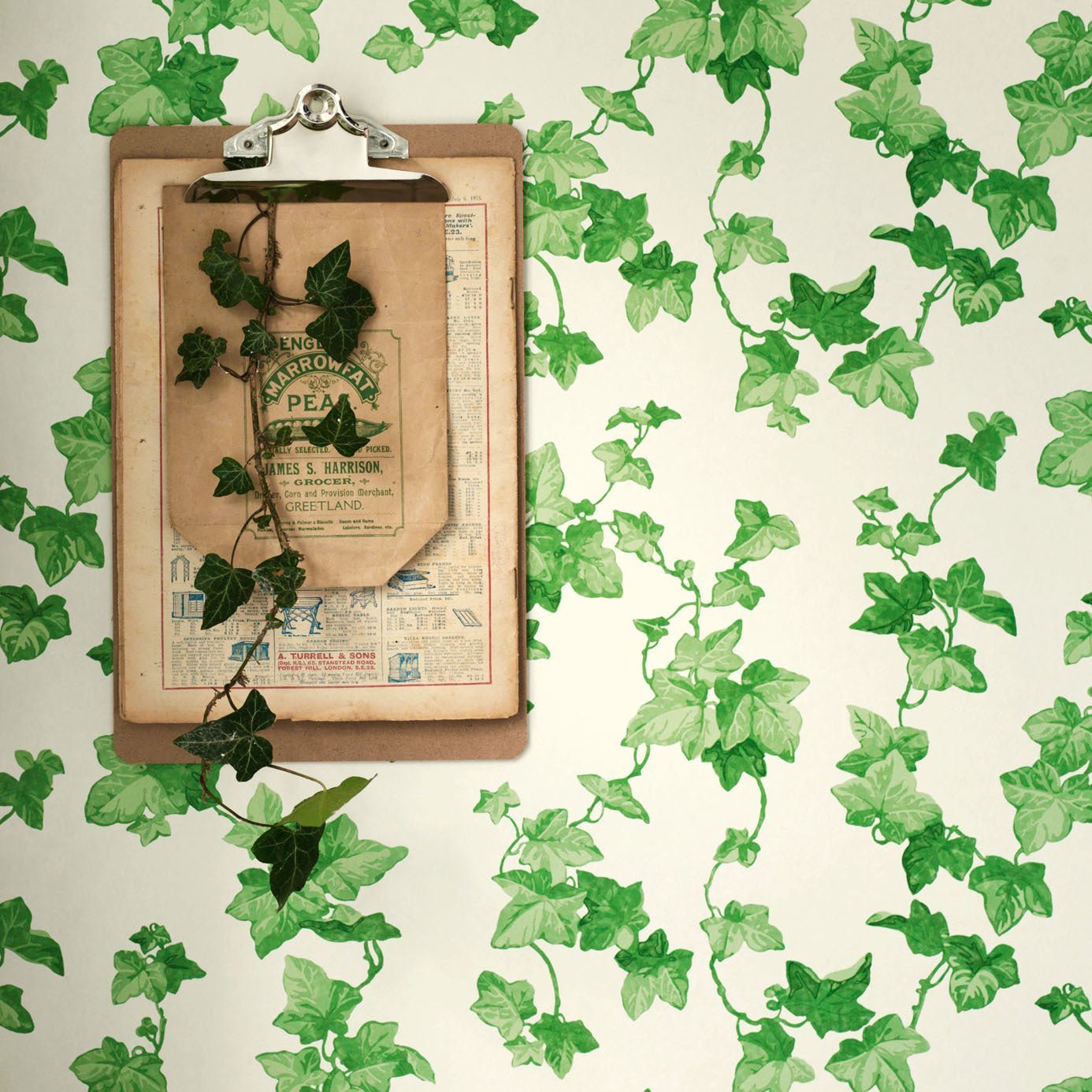 Hedera Wallpaper - Green - DVIN214593 - Sanderson