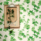Hedera Wallpaper - Green - DVIN214593 - Sanderson