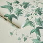 Hedera Wallpaper - Viridian - House of Hackney - 1-WA-HED-DI-VIR-XXX