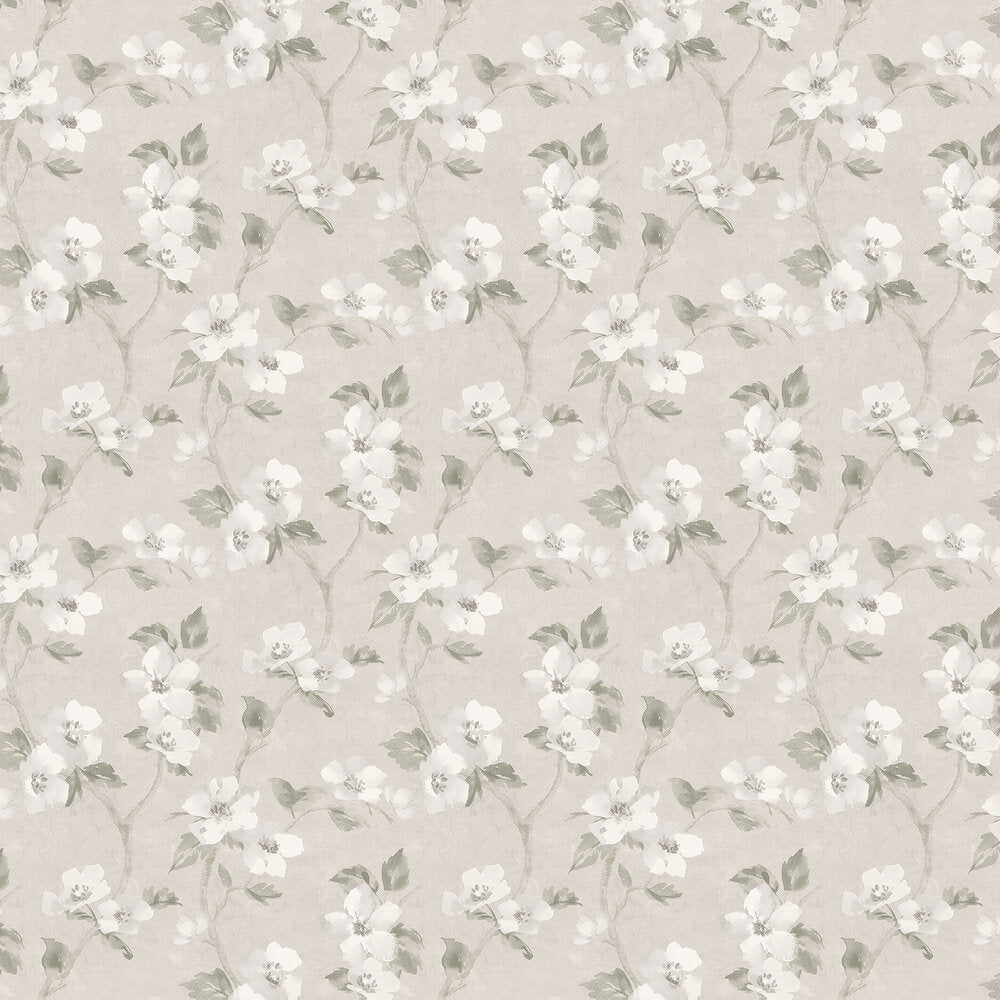 Helen´s Flower Wallpaper - Grey - Beige - Boråstapeter - 3582 - Premier Wallcovering