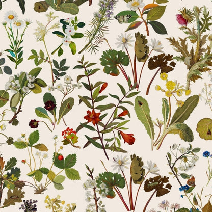 Herbarium Wallpaper - Ecru - House of Hackney - 1-WA-HER-DI-ECR-XXX