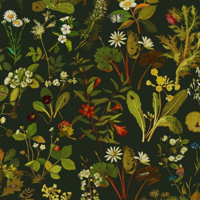 Herbarium Wallpaper - Forest-Green - House of Hackney - 1-WA-HER-DI-FOR-XXX