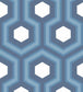 Hicks' Grand Wallpaper - Blue & White on Navy - 95/6035 - Cole & Son - Premier Wallcovering
