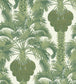 Hollywood Palm Wallpaper - Forest Green on Cream - 113/1004 - Cole & Son - Premier Wallcovering
