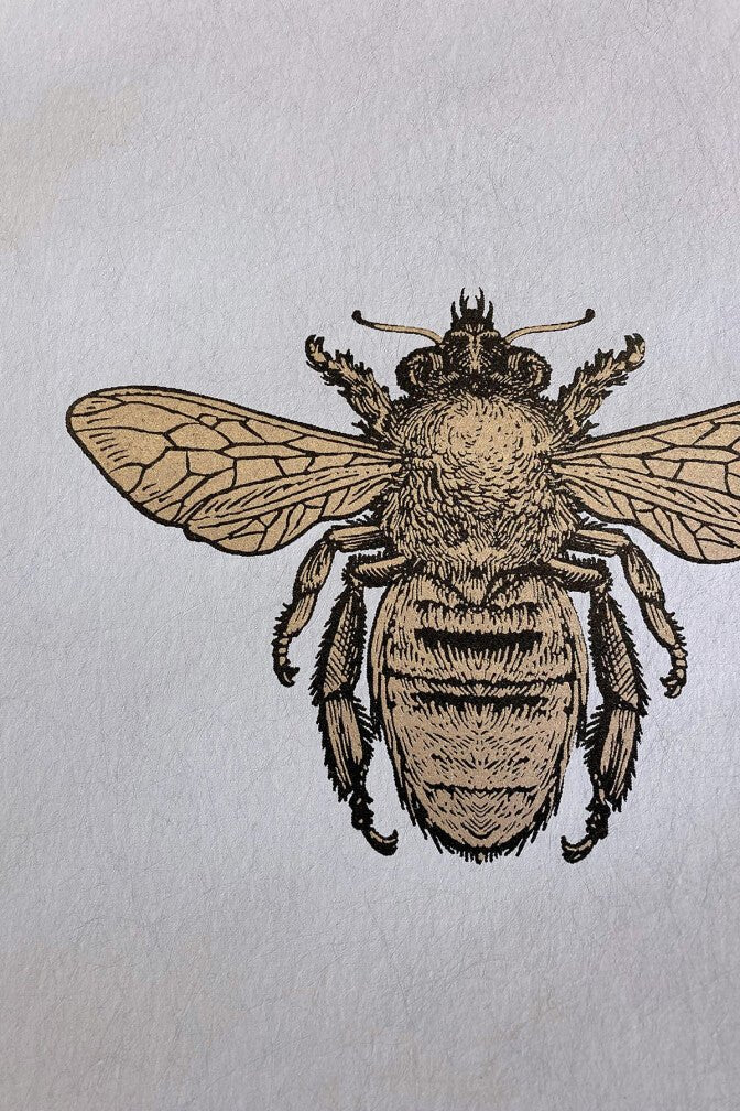 Honey Bee Wallpaper - Black & Gold on Powder Grey - Timorous Beasties - TB/HYB/6005/01 - Premier Wallcovering