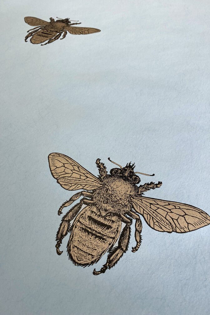 Honey Bee Wallpaper - Black & Gold on Legbar Blue - Timorous Beasties - TB/HYB/6006/02 - Premier Wallcovering
