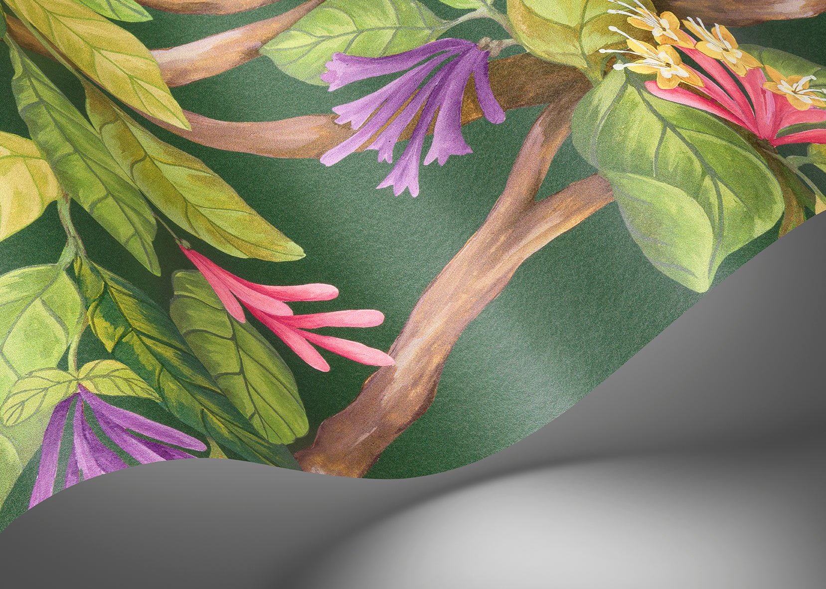 Hummingbirds Flora Wallpaper - Fuchsia on Racing Green - 124/2012 - Cole & Son - Premier Wallcovering