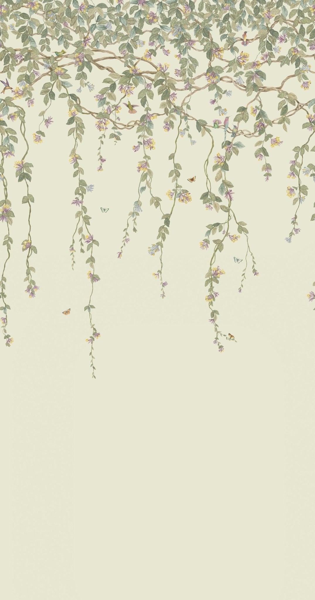 Hummingbirds Flora Wallpaper - Multi, Old Olive on Eau Du Nil - 124/2013 - Cole & Son - Premier Wallcovering