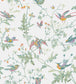 Hummingbirds Wallpaper - Pastel - 112/4016 - Cole & Son - Premier Wallcovering