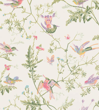 Hummingbirds Wallpaper - Soft Multi, Olive Green on White - 100/14067 - Cole & Son - Premier Wallcovering