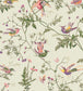 Hummingbirds Wallpaper - Multi, Old Olive on Eau Du Nil - 100/14070 - Cole & Son - Premier Wallcovering