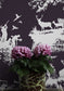 Hunting Toile Wallpaper - White on Peregrine - Timorous Beasties - TB/HTOIL/5004/09 - Premier Wallcovering