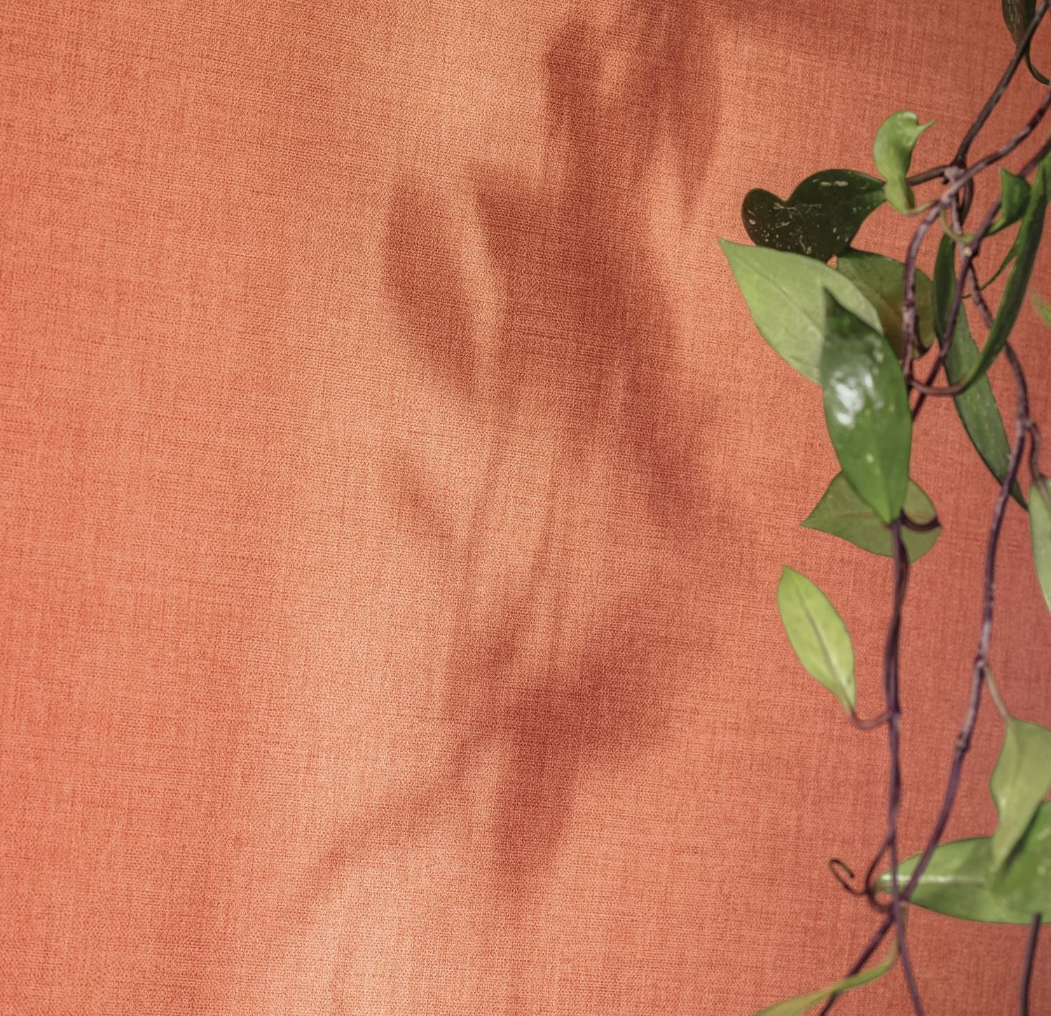 Hygge Uni Wallpaper - Terracotta - Caselio - 100604313