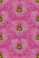 Imperial Apiary Wallpaper - Pink - Timorous Beasties - TB/IMA/MICA/04 - Premier Wallcovering