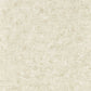 Impression Wallpaper - Natural - Clarke & Clarke - W0152/02 - Premier Wallcovering