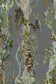 Indie Wood Wallpaper - Iron - Timorous Beasties - BTN/INDIE/TXMT/09 - Premier Wallcovering