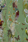 Indie Wood Wallpaper - Tree Frog - Timorous Beasties - BTN/INDIE/TXMT/12 - Premier Wallcovering