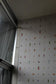 Insect Grid Wallpaper - Grey - Timorous Beasties - TB/GRID/MATT/02 - Premier Wallcovering